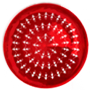 Vashu Bhagnani Industries Share Price