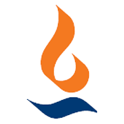 Max India Share Price