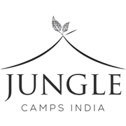 Jungle Camps India Share Price