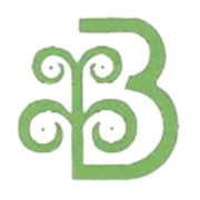 Brijlaxmi Leasing & Finance Share Price