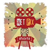 Net Pix Shorts Digital Media Share Price