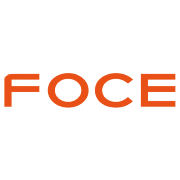 Foce India Share Price