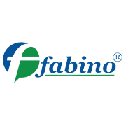 Fabino Enterprises Share Price