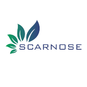 Scarnose International Share Price