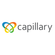 Capillary Technologies India  Share Price