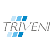 Triveni Glass Share Price