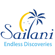 Sailani Tours N Travels Share Price