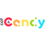 Pace E-Commerce Ventures Share Price