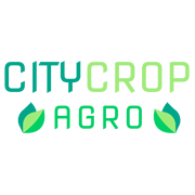 City Crops Agro Share Price