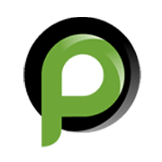 Pentagon Rubber Share Price