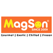Magson Retail and Distribution Share Price