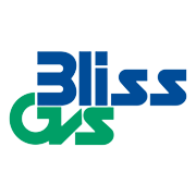 Bliss GVS Pharma Share Price