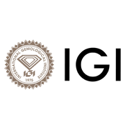 International Gemmological Institute (India) Share Price