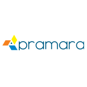 Pramara Promotions Share Price
