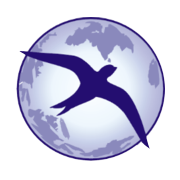 Ind-Swift Laboratories Share Price