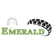 Emerald Tyre Manufacturers Share Price
