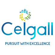 Ceigall India Share Price
