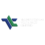 Technocraft Ventures Share Price