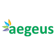 Aegeus Technologies Share Price
