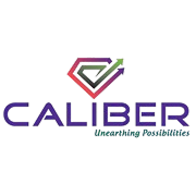 Caliber Mining and Logistics Share Price