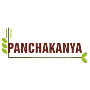 Baba Food Processing India Share Price