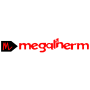 Megatherm Induction Share Price