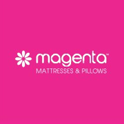 Magenta Lifecare Share Price