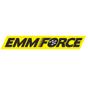 Emmforce Autotech Share Price