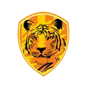 Rajputana Industries Share Price