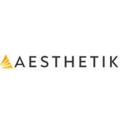 Aesthetik Engineers Share Price