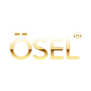 OSEL Devices Share Price