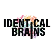 Identical Brains Studios Share Price