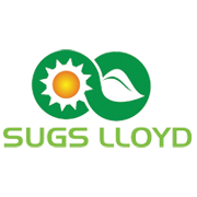 Sugs Lloyd  Share Price