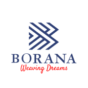 Borana Weaves  Share Price