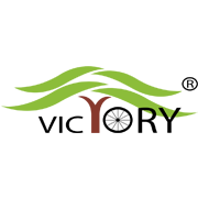 Victory Electric Vehicles International Share Price