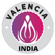 Valencia India Share Price