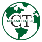Cedaar Textile Share Price