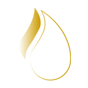 Solvex Edibles  Share Price