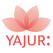 Yajur Fibres Share Price