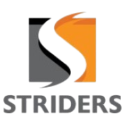 Striders Impex Share Price