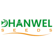 Dhanwel Hybrid Seeds Share Price