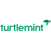 Turtlemint Fintech Solutions Share Price