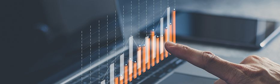 Long-term Capital Gains on Shares Long-term Capital Gains on Shares