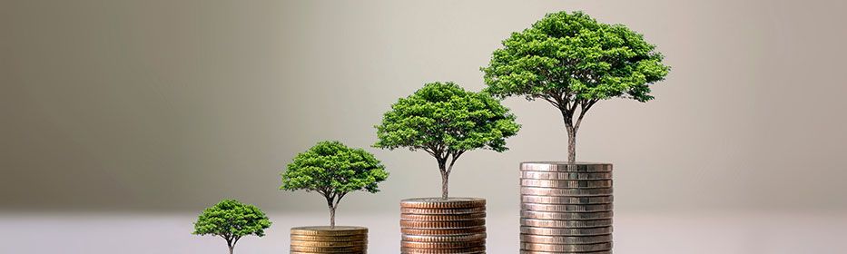 5 Common Beginner Trading Mistakes To Avoid 5-common-mistakes-to-avoid-by-beginner-while-trading
