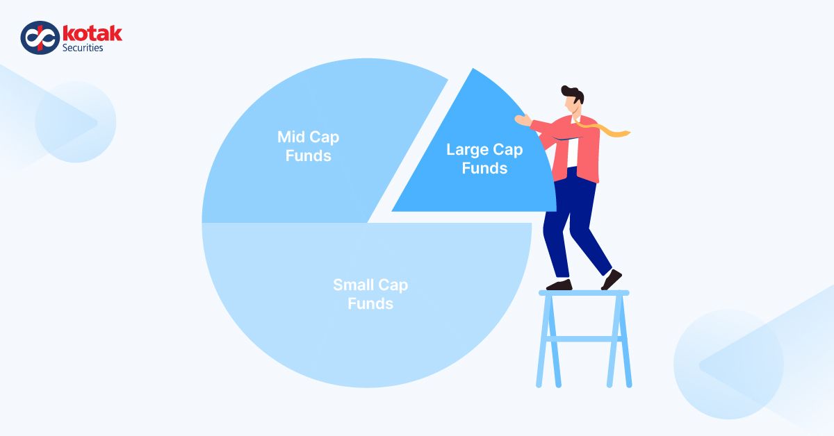 Do Large-cap Stocks Deserve to be in Your Portfolio?