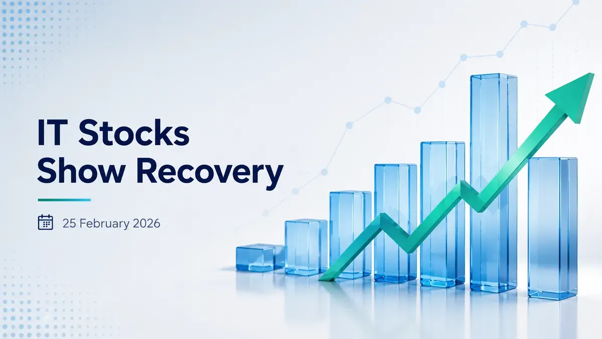 Dead Cat Bounce Hits IT, Long-Term Play In This Sector