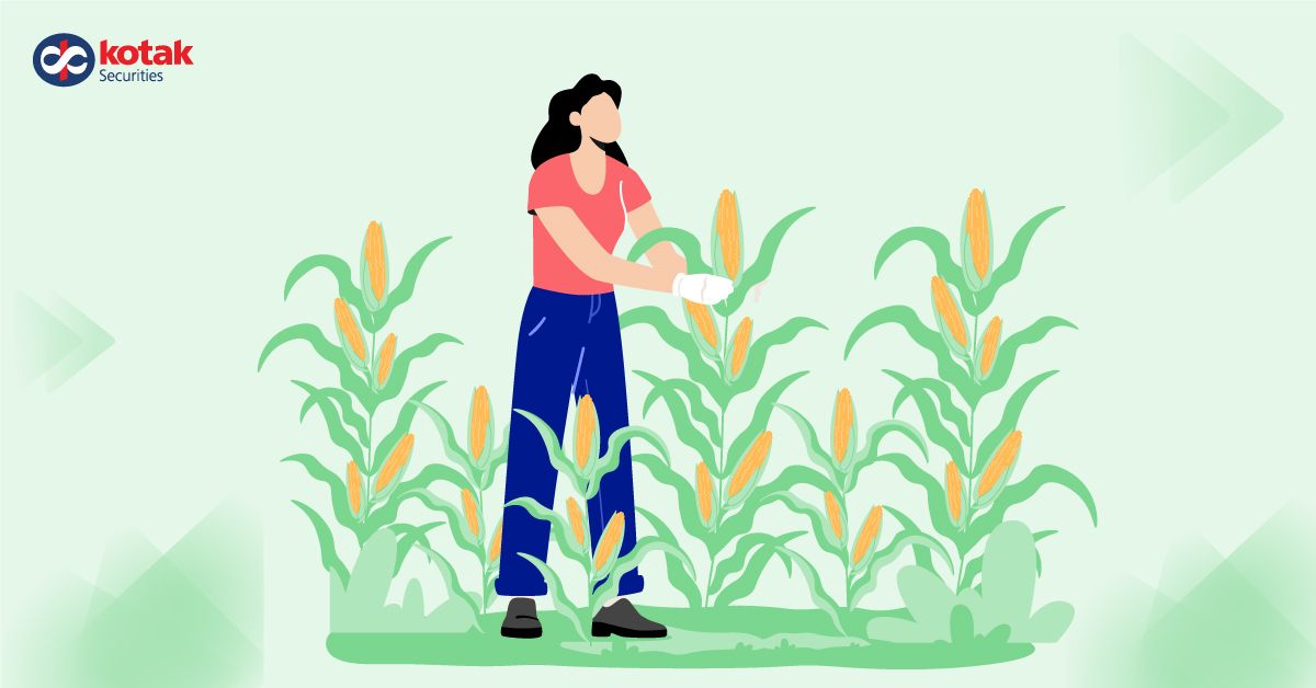 Sanstar Limited’s IPO Hits D-Street on July 19 - Key Details You Must Know