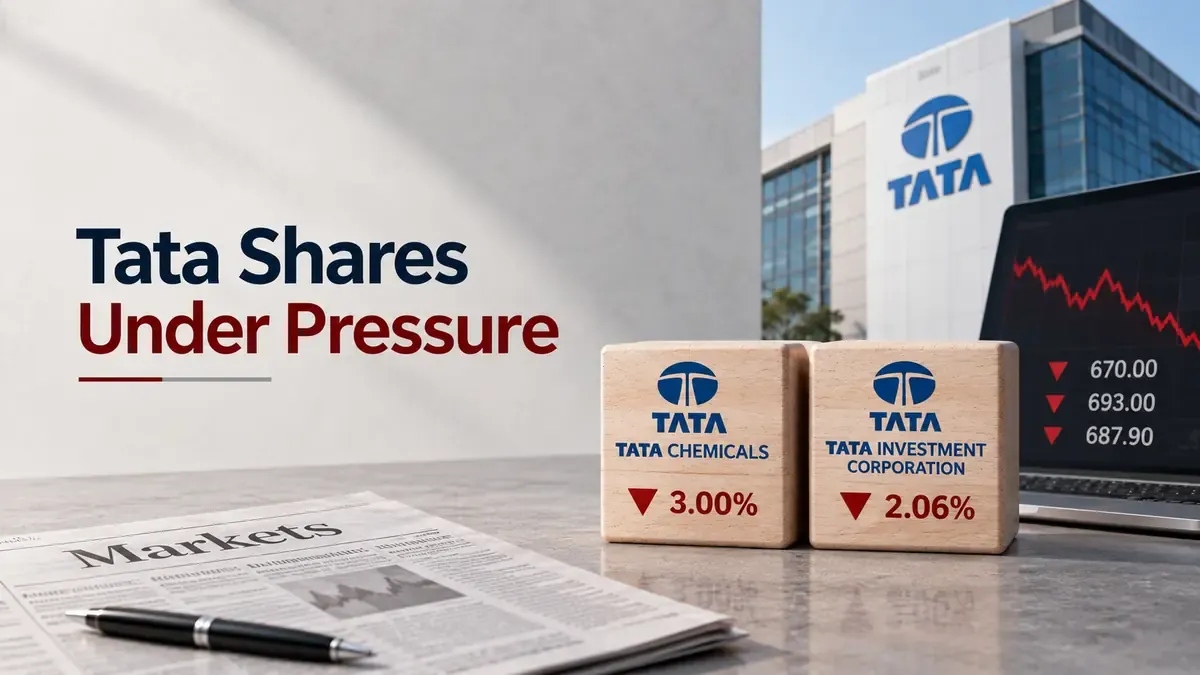 tata chemicals share price tata sons trusts dispute Tata Chemicals, Tata Investment Shares