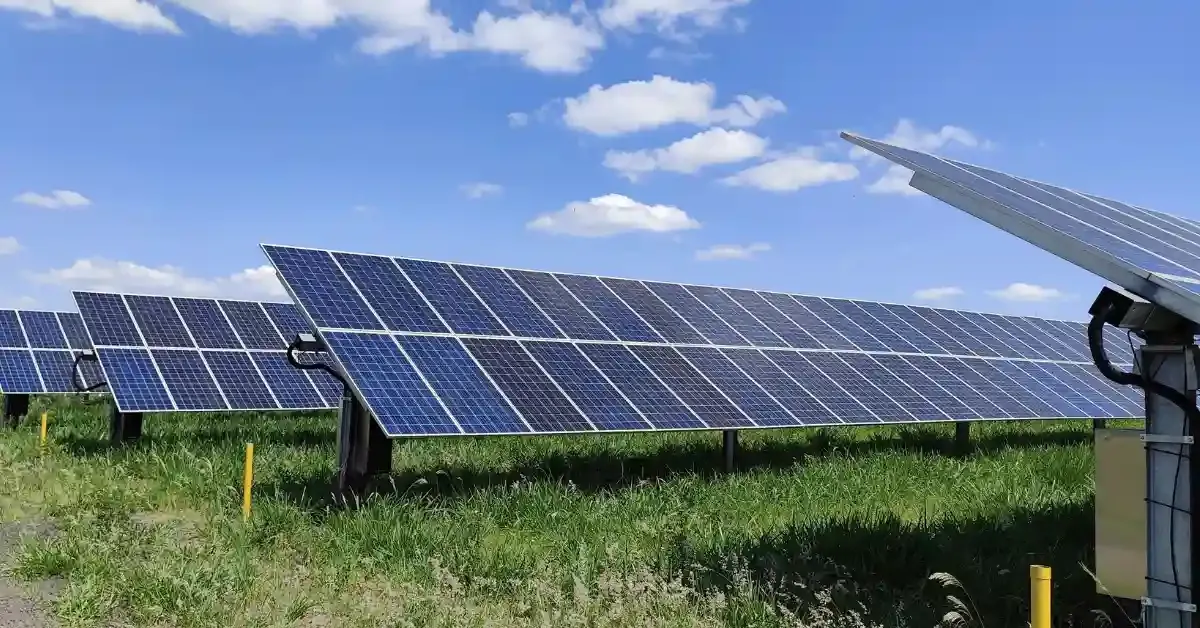 US Imposes 123% Duty On Indian Solar Imports; Waaree Energies Falls 4%, Vikram Solar Slips 2%, Premier Energies Gains 