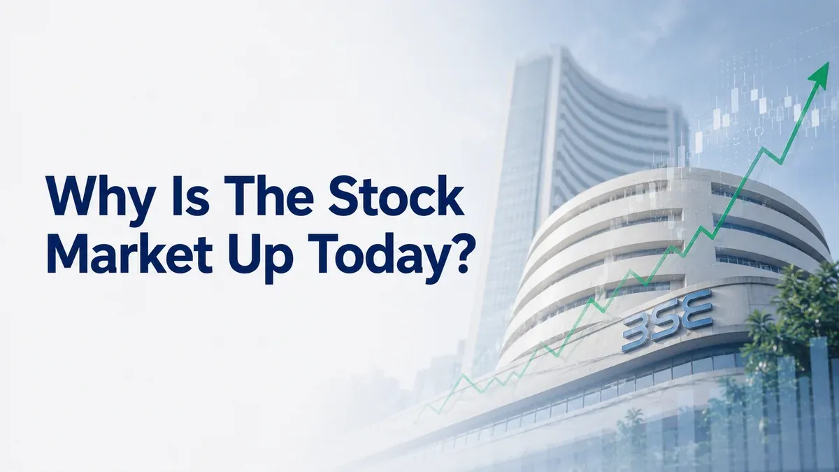 Why Sensex Jumped 800 Points